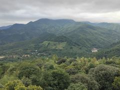 -大余丫山旅游度假区