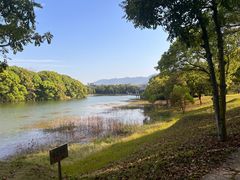 -福建鲤鱼洲酒店