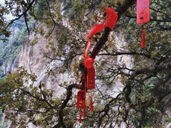 -洛阳白云山景区