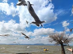 -捞渔河湿地公园