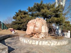 -北宫国家森林公园