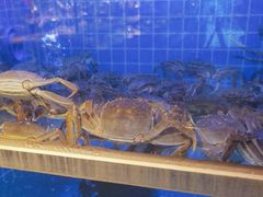 -大鹏饭店·金陵家宴(奥体中心店)