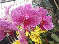 -石家庄市植物园