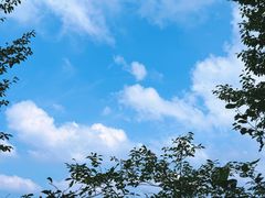 -明堂山风景区