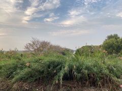 -南沙十九涌渔人码头-南门