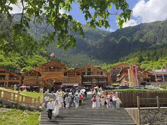 -九寨沟-树正沟