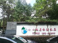 -小小饭店·休闲农庄·安吉松树林里的农家菜