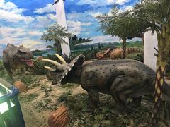 -吉林省自然博物馆