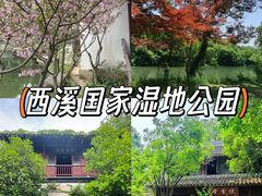 -西溪国家湿地公园