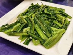 生菜-西江河鲜·趣苑酒楼(鼎湖牌坊店)