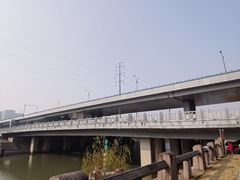 -运河游船(武林门码头)