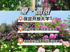 -保定东湖公园(莲池区)