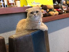 -咖法森林·咖啡  酒吧(天河店)