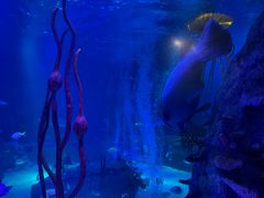 -沈阳海洋探索中心