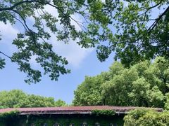 -中国茶叶博物馆(双峰馆区)
