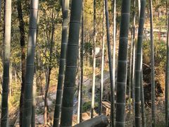 -山沟沟景区
