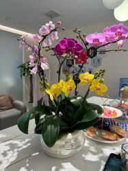-Dr.林醫生产后修复·超级店(南京江宁同曦店)