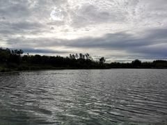 -东郊湿地公园
