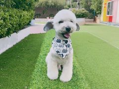 -汪说喵讲宠物乐园宠物酒店(红星美凯龙店)