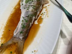 -雅苑中餐厅
