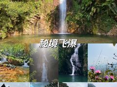 -梅州天地人花园酒店(梅县人民广场店)