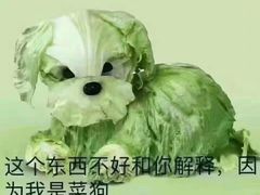 -西木兔(大圆祥店)