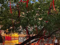 -高荡千年布依古寨旅游景区