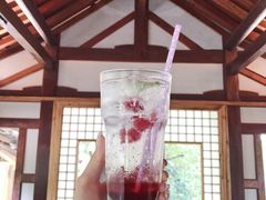 覆盆子气泡水-瑭风赏阁