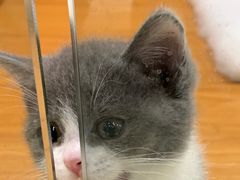 -龟与熊猫宠物公园(南坪店)