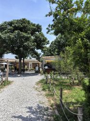 -DORA kids 朵拉儿童摄影花园店