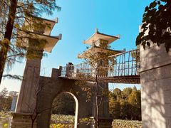 -东湖落雁景区