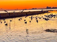 -老虎石海上公园