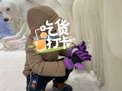 -宁波冰雪大世界(北仑区)
