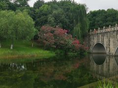 -眉山湿地公园(东坡区)