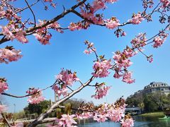 -新江湾城公园