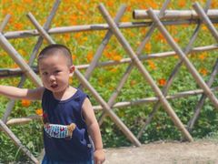 -贵阳市花溪国家城市湿地公园