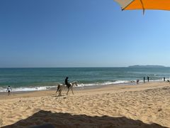 -味餐厅·海鲜·火锅·自助餐