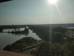-大湾区中央湿地公园