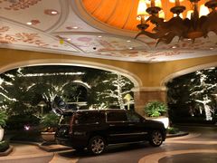 -拉斯维加斯永利酒店