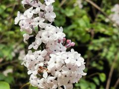 -白塘生态植物园