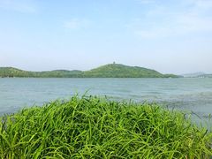 -蠡湖中央公园