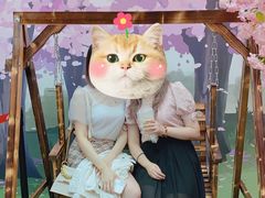 -火影忍者动画多媒体展
