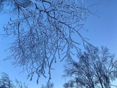 -密苑云顶乐园(云顶滑雪场)