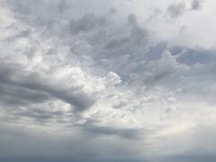 -哈素海