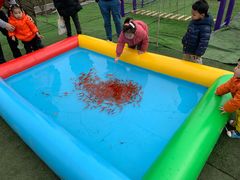 -小鱼草莓采摘园农家乐·小鱼餐厅