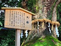 -热田神宫