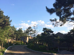 iphone_upload_pic-爱新觉罗皇家博物院