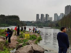 -重庆彩云湖湿地公园