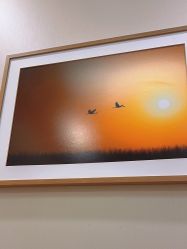 -北京米扬丽格医疗美容·联合丽格鼻整形中心