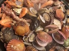 -大锅强·蒸海鲜青岛菜(吾悦广场店)